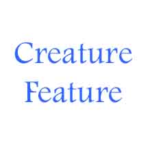 National Geographic Creature Feature