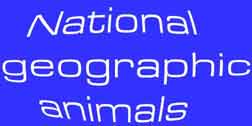 National Geographic Animals