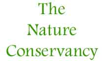 The Nature Conservancy